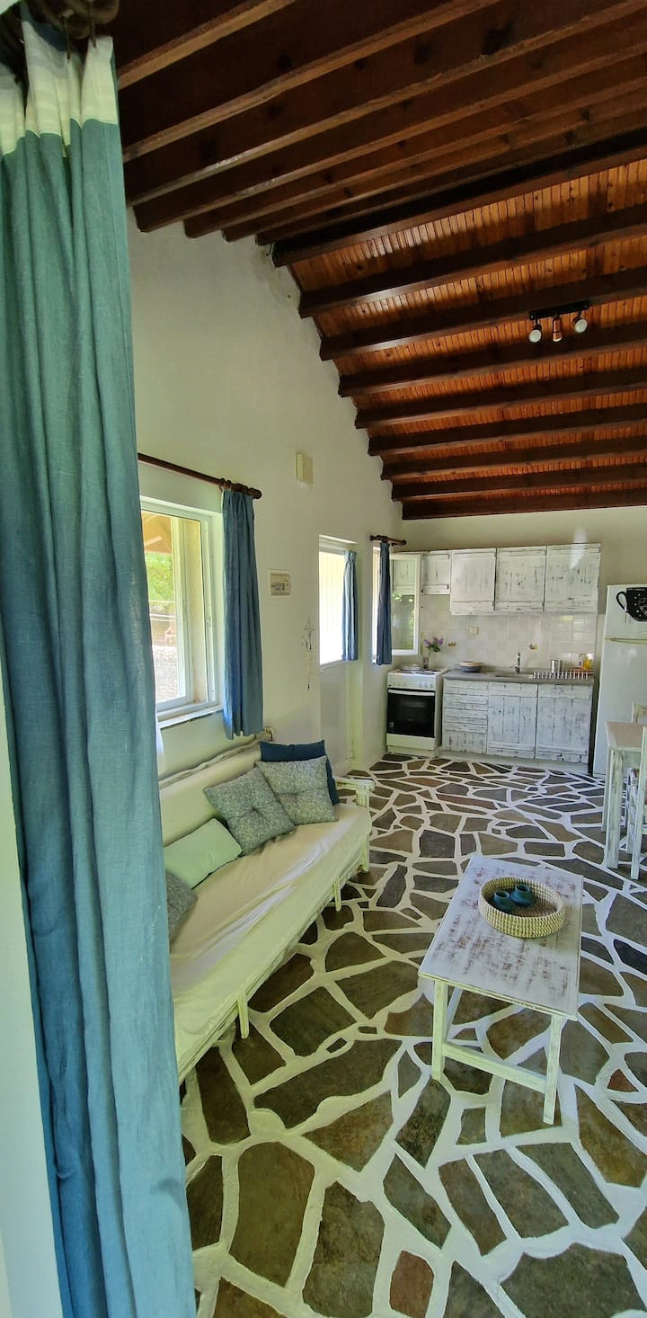 Politika Beach House image 017